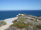 289-IMG_1821.JPG.small.jpeg