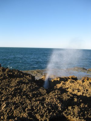 294-IMG_1841.JPG.medium.jpeg