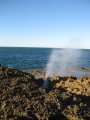 294-IMG_1841.JPG.small.jpeg