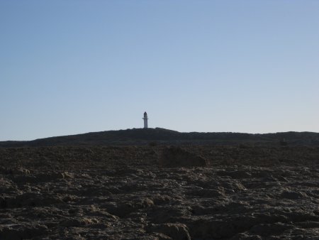295-IMG_1842.JPG.medium.jpeg