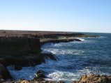 297-IMG_1844.JPG.small.jpeg