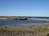 298-IMG_1845.JPG.small.jpeg