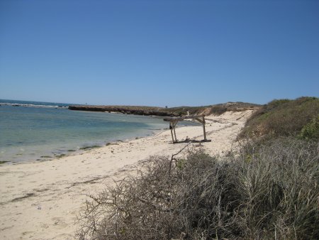 300-IMG_1848.JPG.medium.jpeg