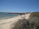 300-IMG_1848.JPG.small.jpeg