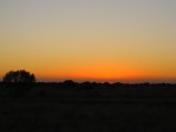 302-IMG_1852.JPG.small.jpeg