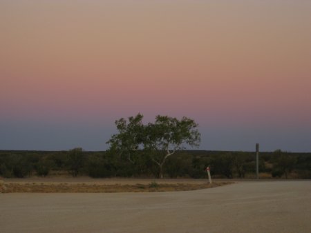303-IMG_1853.JPG.medium.jpeg