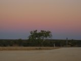303-IMG_1853.JPG.small.jpeg