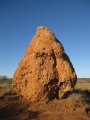 306-IMG_1863.JPG.small.jpeg