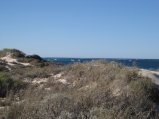 309-IMG_1866.JPG.small.jpeg
