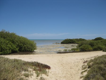311-IMG_1874.JPG.medium.jpeg