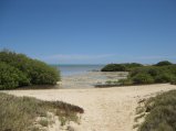 311-IMG_1874.JPG.small.jpeg