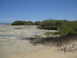 312-IMG_1875.JPG.small.jpeg