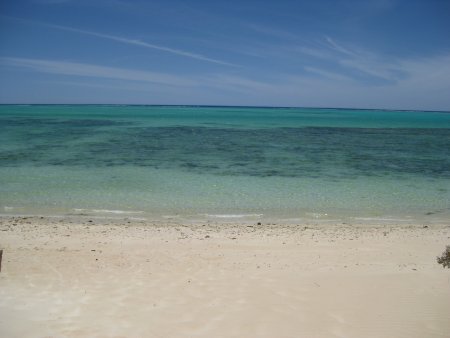 313-IMG_1878.JPG.medium.jpeg