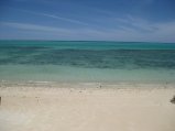 313-IMG_1878.JPG.small.jpeg