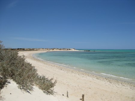 314-IMG_1879.JPG.medium.jpeg