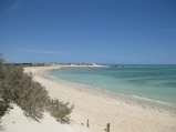 314-IMG_1879.JPG.small.jpeg