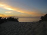 319-IMG_1885.JPG.small.jpeg
