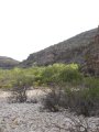 323-IMG_1901.JPG.small.jpeg