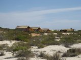 329-IMG_1916.JPG.small.jpeg