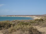 331-IMG_1923.JPG.small.jpeg