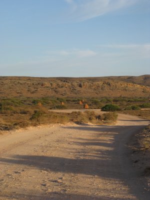 332-IMG_1935.JPG.medium.jpeg