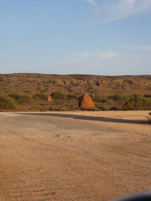 333-IMG_1936.JPG.medium.jpeg