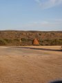 333-IMG_1936.JPG.small.jpeg