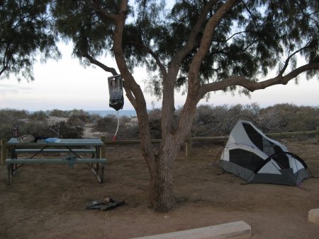 335-IMG_1940.JPG.medium.jpeg