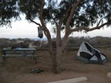 335-IMG_1940.JPG.small.jpeg