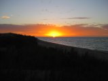 336-IMG_1943.JPG.small.jpeg