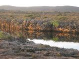 339-IMG_1954.JPG.small.jpeg