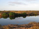 340-IMG_1955.JPG.small.jpeg