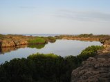 345-IMG_1960.JPG.small.jpeg