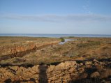 353-IMG_1973.JPG.small.jpeg