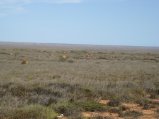 354-IMG_1974.JPG.small.jpeg