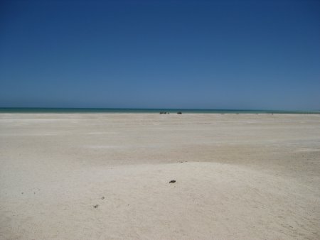 359-IMG_1987.JPG.medium.jpeg