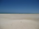 359-IMG_1987.JPG.small.jpeg