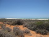 360-IMG_1990.JPG.small.jpeg