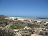 361-IMG_1991.JPG.small.jpeg