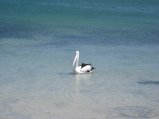 368-IMG_2070.JPG.small.jpeg