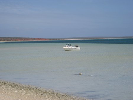 369-IMG_2072.JPG.medium.jpeg