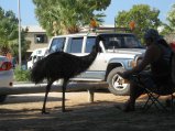 372-IMG_2077.JPG.small.jpeg