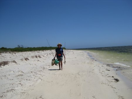 382-IMG_2208.JPG.medium.jpeg