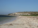 383-IMG_2209.JPG.small.jpeg