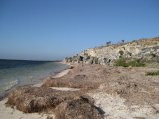 384-IMG_2210.JPG.small.jpeg