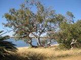 385-IMG_2215.JPG.small.jpeg