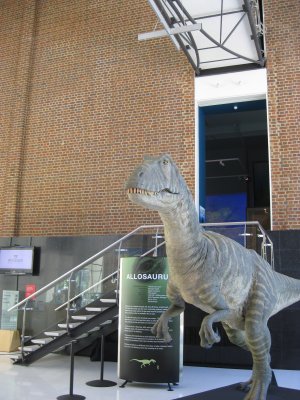 394-IMG_2304.JPG.medium.jpeg