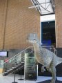 394-IMG_2304.JPG.small.jpeg