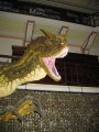 397-IMG_2316.JPG.small.jpeg