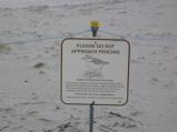 img002.jpeg.small.jpeg
